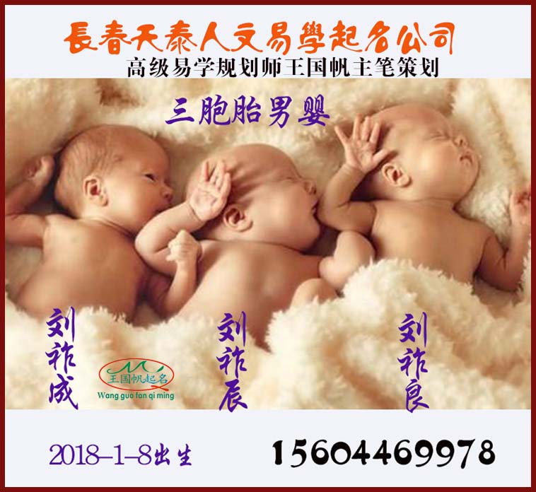 龍鳳胎起名案例