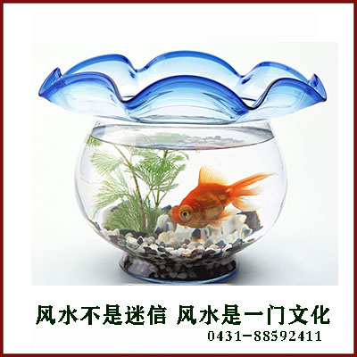 風(fēng)水大師給看您看風(fēng)水養魚(yú)風(fēng)水知識，風(fēng)水不是迷信，風(fēng)水是一門(mén)文化